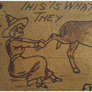 Halloween Postcard Leather Witch Pulling Donkeys Leg 1907 E St Louis Vintage